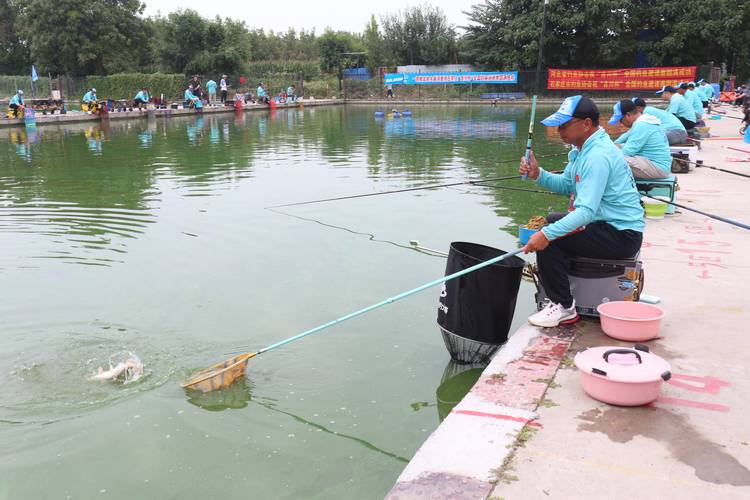 釣魚比賽視頻2020_釣魚比賽視頻高清_釣魚視頻高清比賽下載