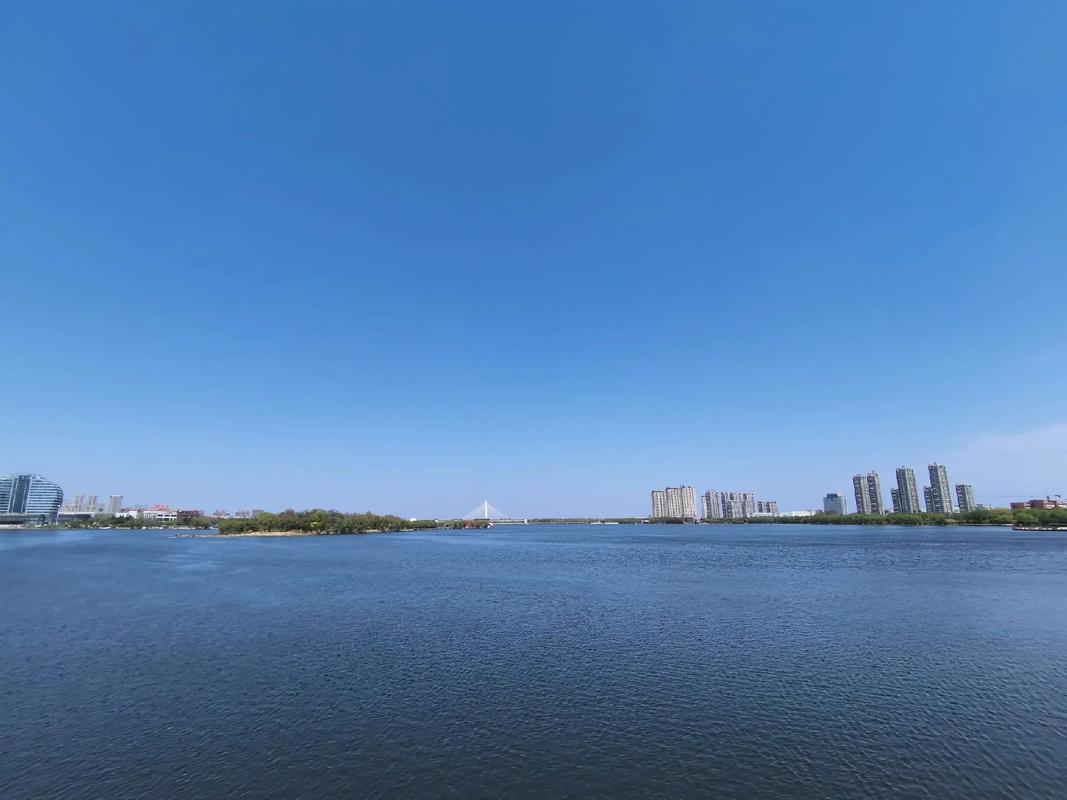 初釣安丘青云湖_安丘青云湖下游釣魚_青云湖水庫