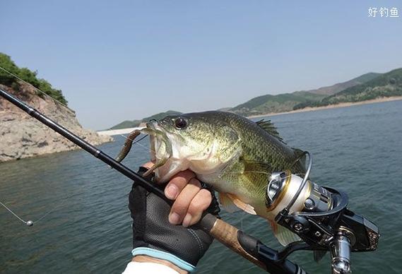 四海釣魚頻道海釣玩家_四海釣魚2018_四海釣魚論壇