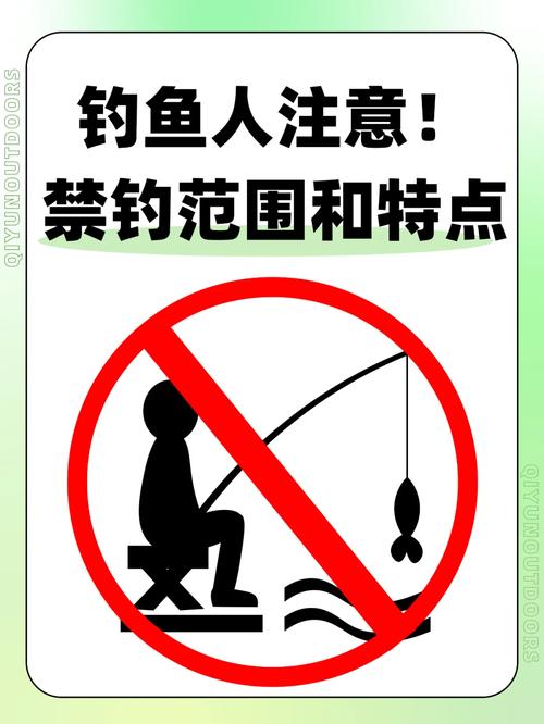 四海釣魚網官網下載_四海釣魚漁具大全_四海釣魚網