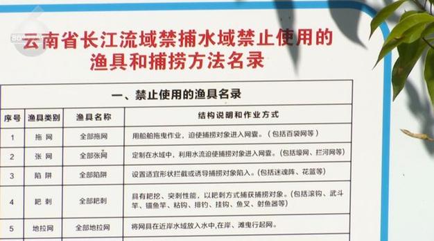 四海釣魚網官網下載_四海釣魚漁具大全_四海釣魚網