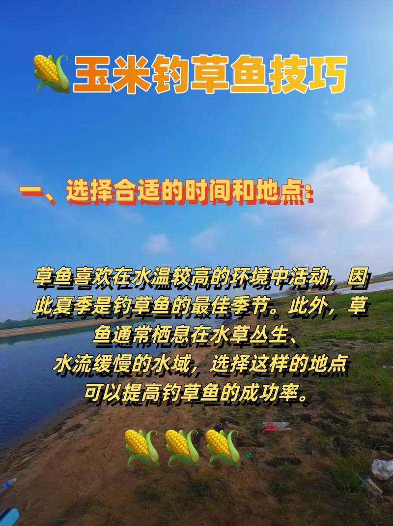釣魚老粒玉米怎么釣_老玉米粒釣魚_老玉米釣魚餌料