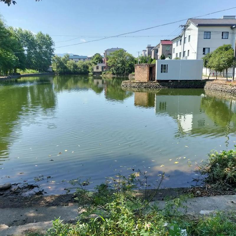 水庫可以釣魚嗎_釣魚水庫可以釣什么魚_釣魚水庫可以釣魚嗎