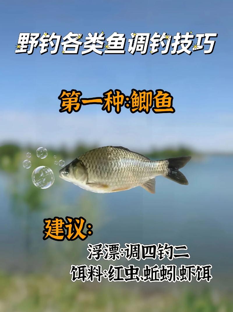 釣重唇魚窩料_釣魚的窩料_夏季釣鯽魚的窩料配方窩