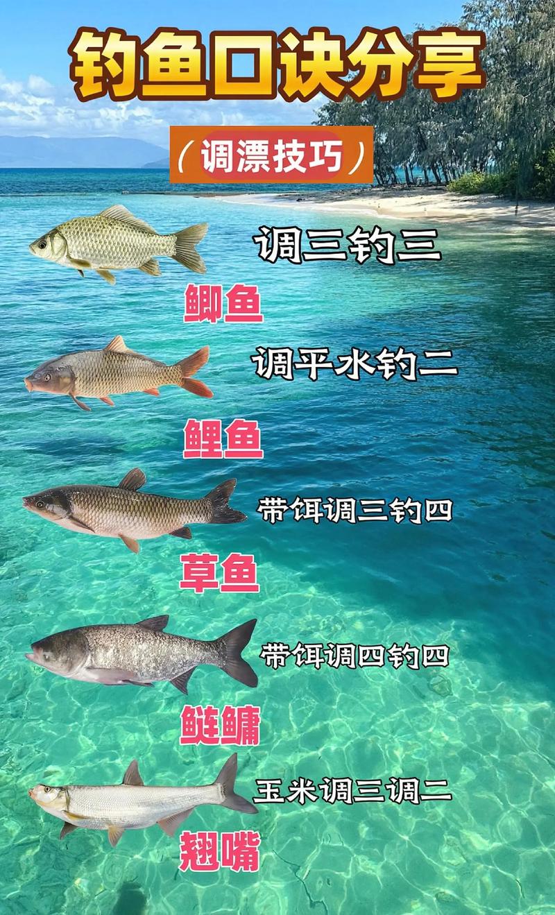 夏季釣鯽魚的窩料配方窩_釣重唇魚窩料_釣魚的窩料