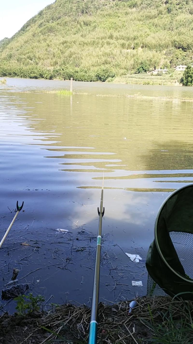 江夏哪里可以免費釣魚_江夏區免費釣魚_釣魚江夏免費可以釣的地方