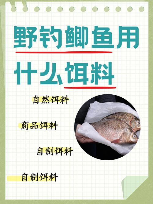 各種魚餌的配方大全_魚餌料配方大全_常用魚餌配方