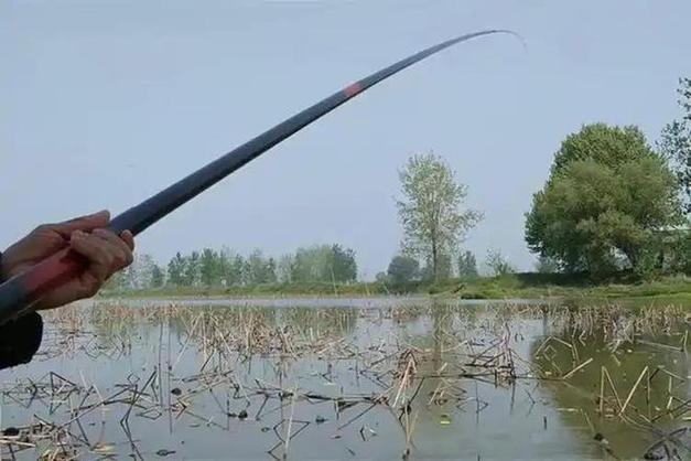 揭秘網絡釣魚高手的真實面貌：釣魚視頻背后的貓膩與真相