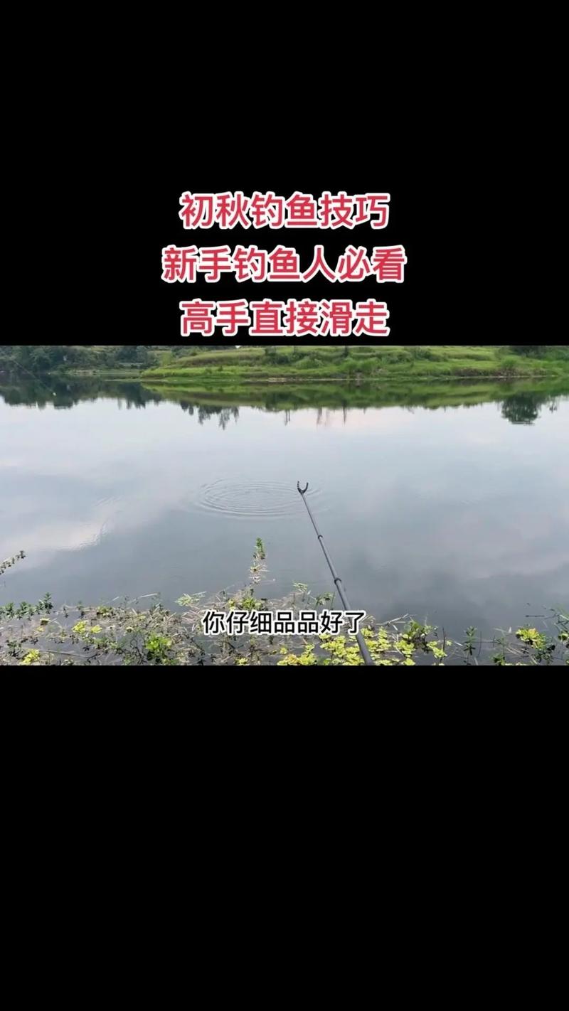 釣魚視頻路亞_釣魚視頻_釣魚視頻大全視頻