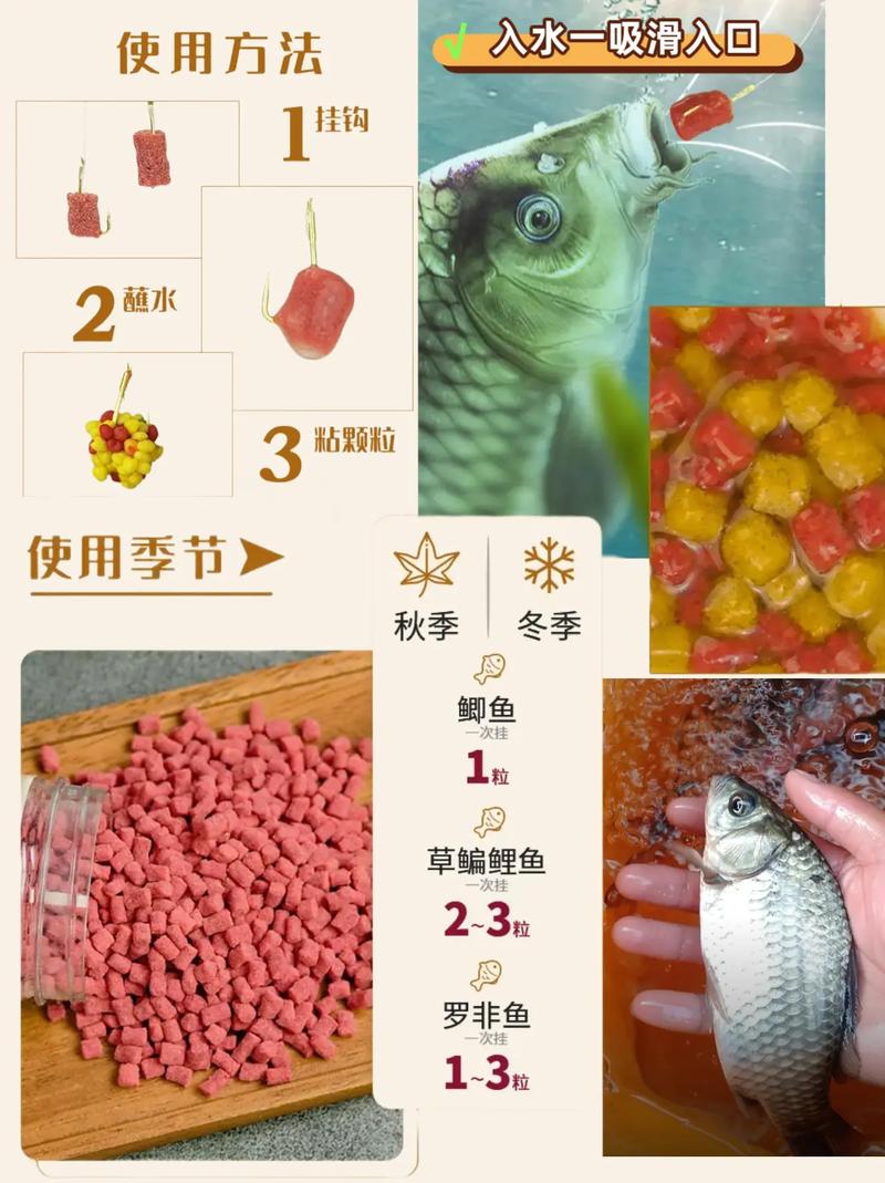 鯽魚都吃啥_鯽魚吃什么食物家里食物_鯽魚吃什么食物