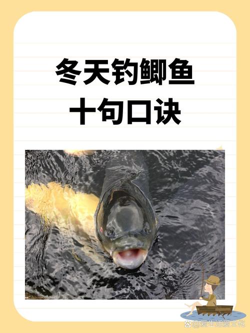 鯽魚都吃啥_鯽魚吃什么食物家里食物_鯽魚吃什么食物
