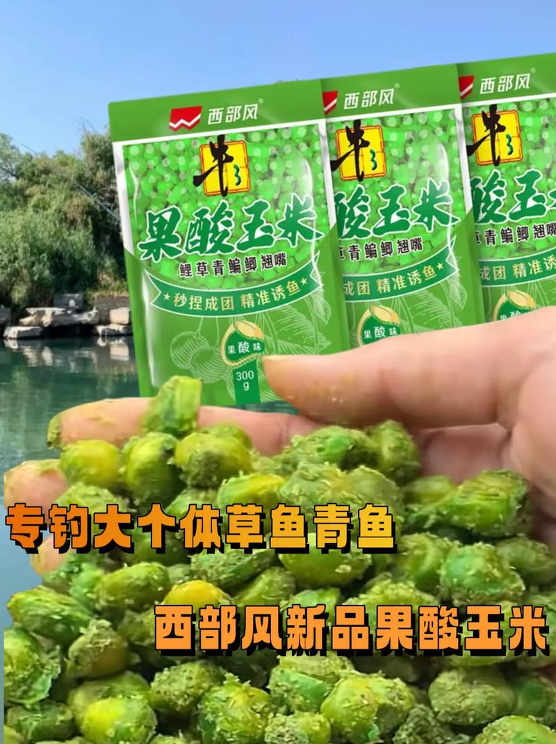 深秋釣草魚用什么打窩_深秋野釣草魚釣底還是釣浮_深秋黑坑釣草魚用什么餌最好