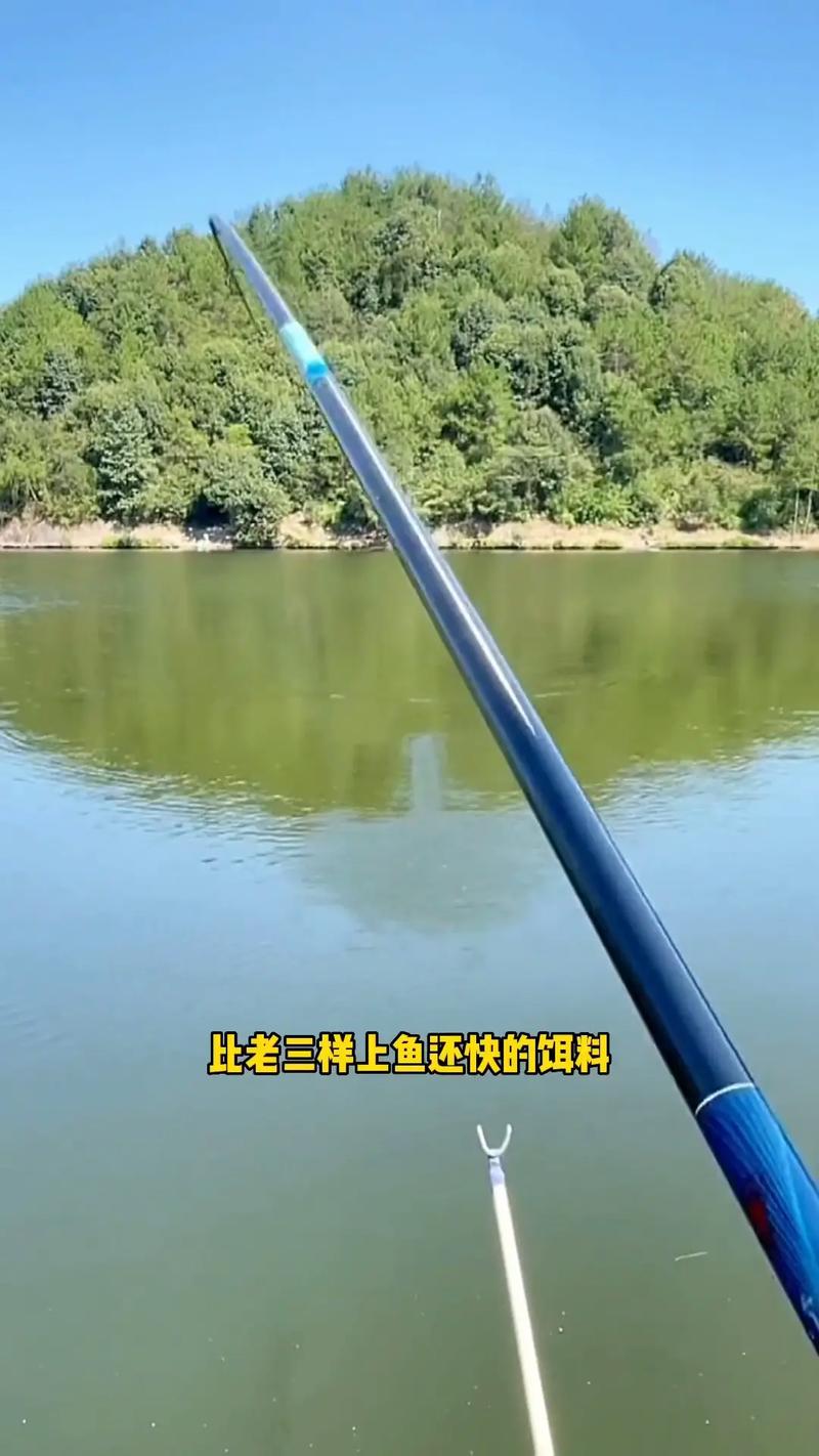 四海釣魚網：釣魚愛好者的溫馨港灣，分享技巧與裝備推薦