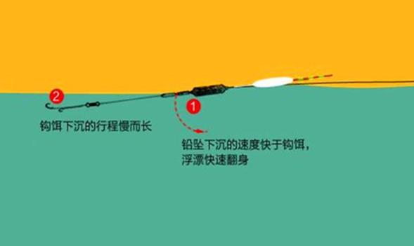 水庫釣魚須知_釣水庫技巧大全_初夏水庫釣魚技巧