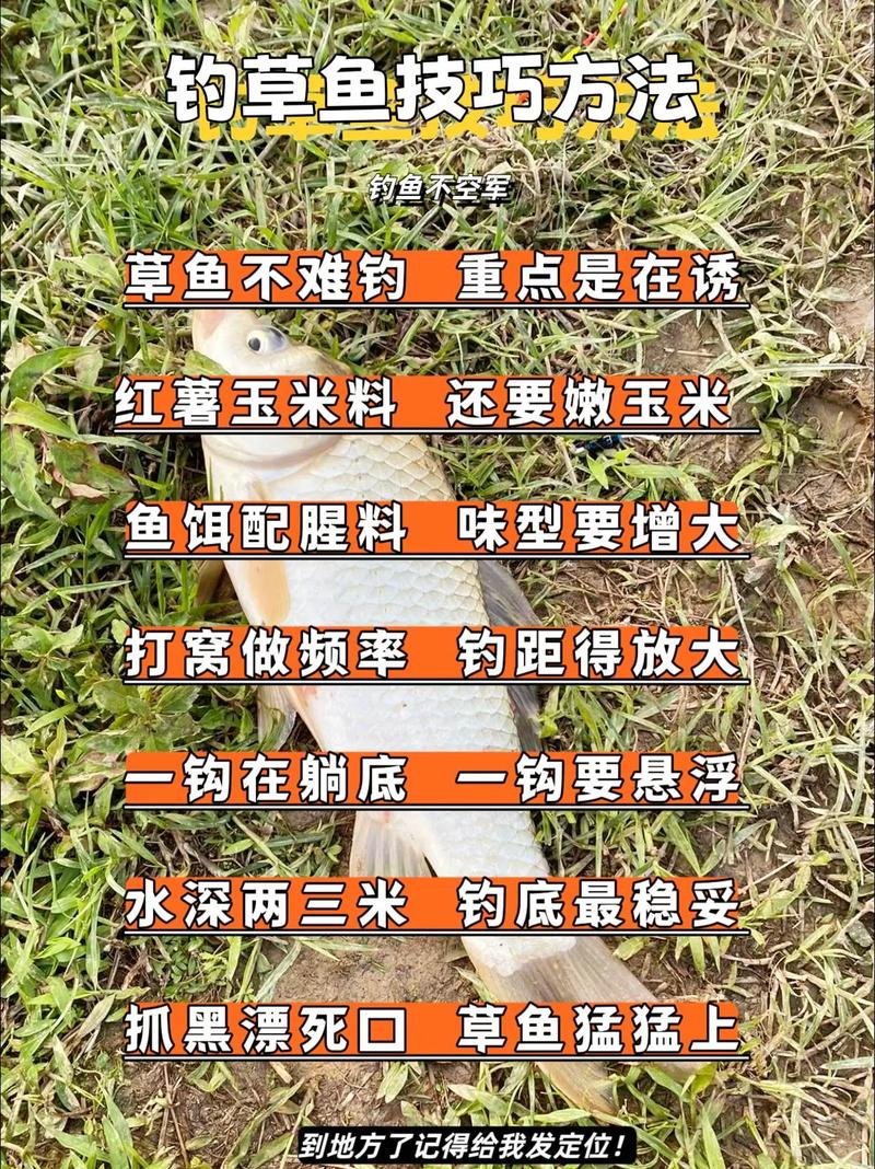 春季怎樣釣草魚釣草魚技巧_春釣草魚技巧分析必看_春季釣草魚