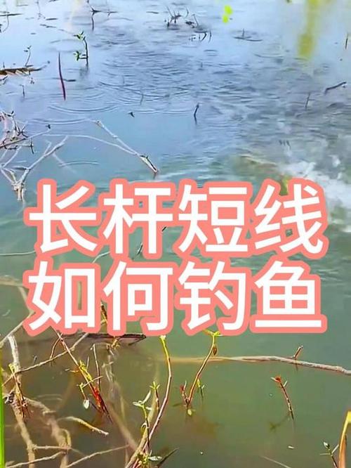 桿短線長怎么釣_短竿長線釣法_長竿短線釣魚狀態分析必看