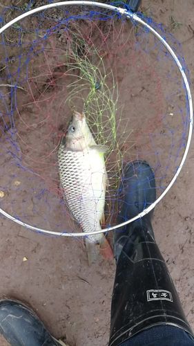 磯竿釣魚技巧視頻_釣魚視頻技巧磯竿圖解_磯竿釣魚視頻教程新手