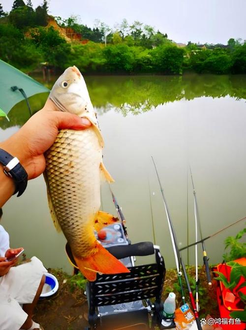 釣魚視頻技巧磯竿圖解_磯竿釣魚視頻教程新手_磯竿釣魚技巧視頻
