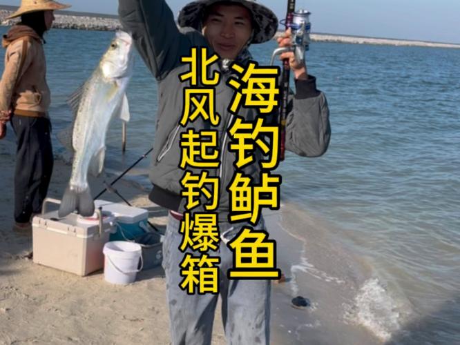 海釣鱸魚視頻_視頻鱸魚海釣怎么釣_視頻鱸魚海釣教程