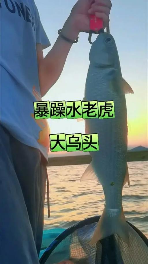 漁我同行全集視頻_漁我同行全集視頻_漁我同行全集視頻