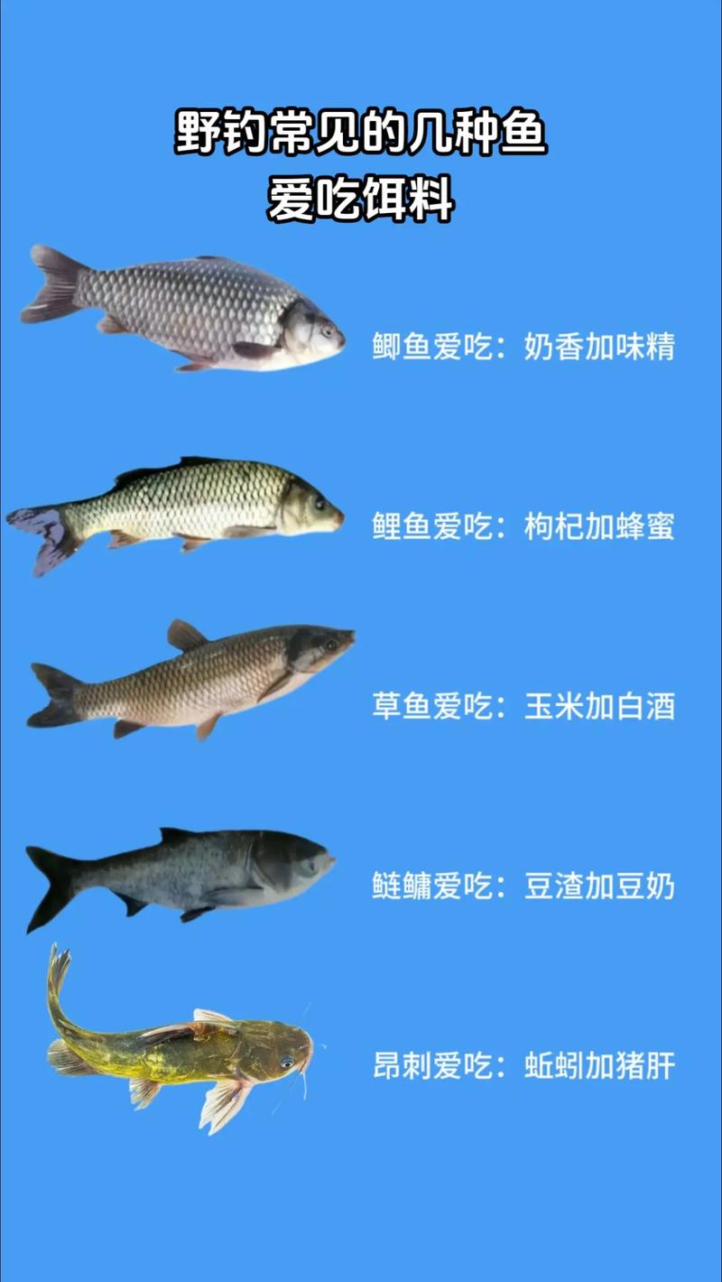 夏季餌料搭配技巧_夏季餌料配方大全_夏季野釣商品餌料配方
