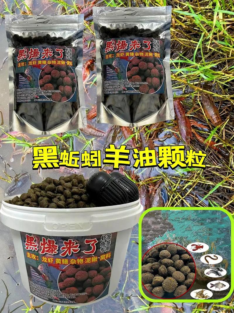 黑魚用什么釣最好_釣黑魚用幾號PE線_釣黑魚用什么調性路亞竿