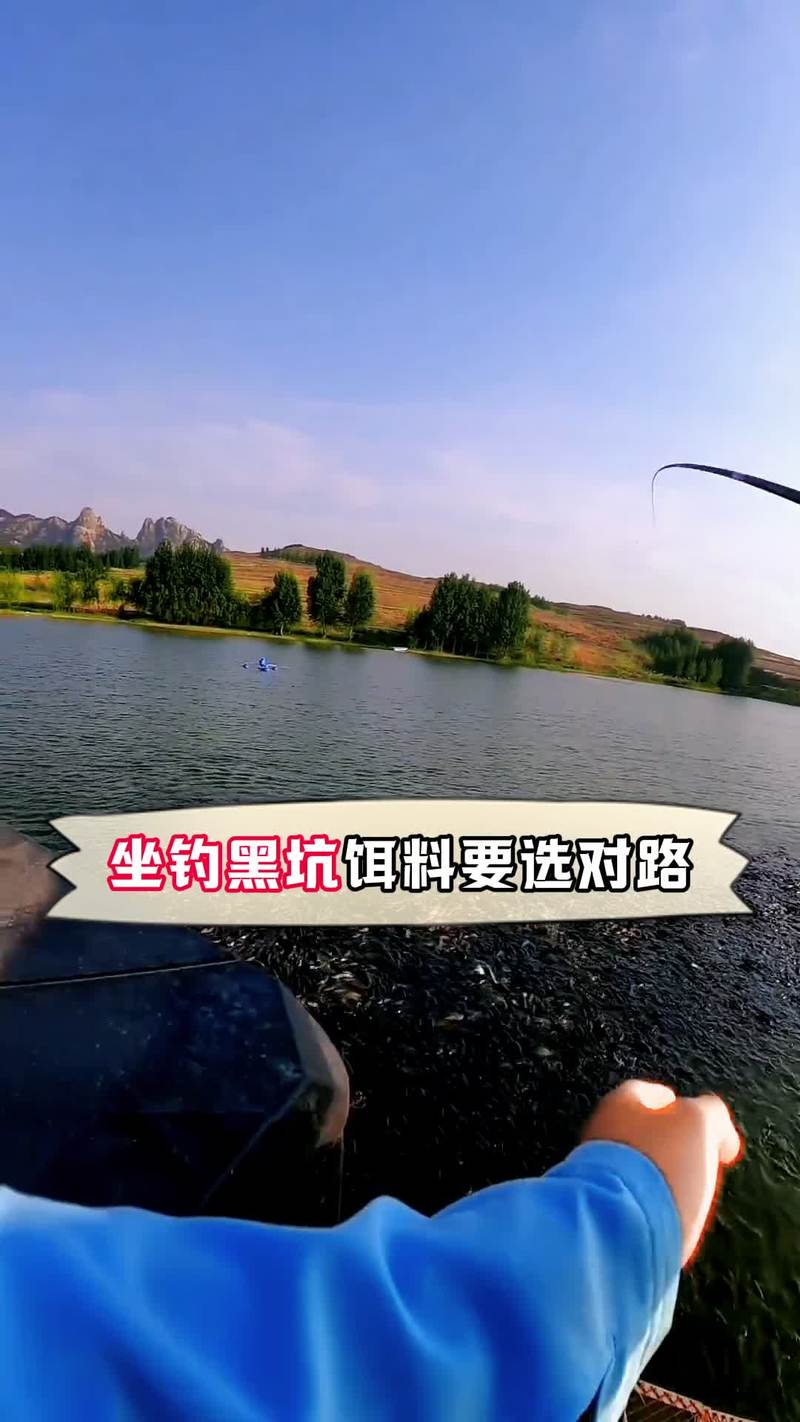 臺釣法(臺灣懸墜釣競技釣黑坑賭塘)