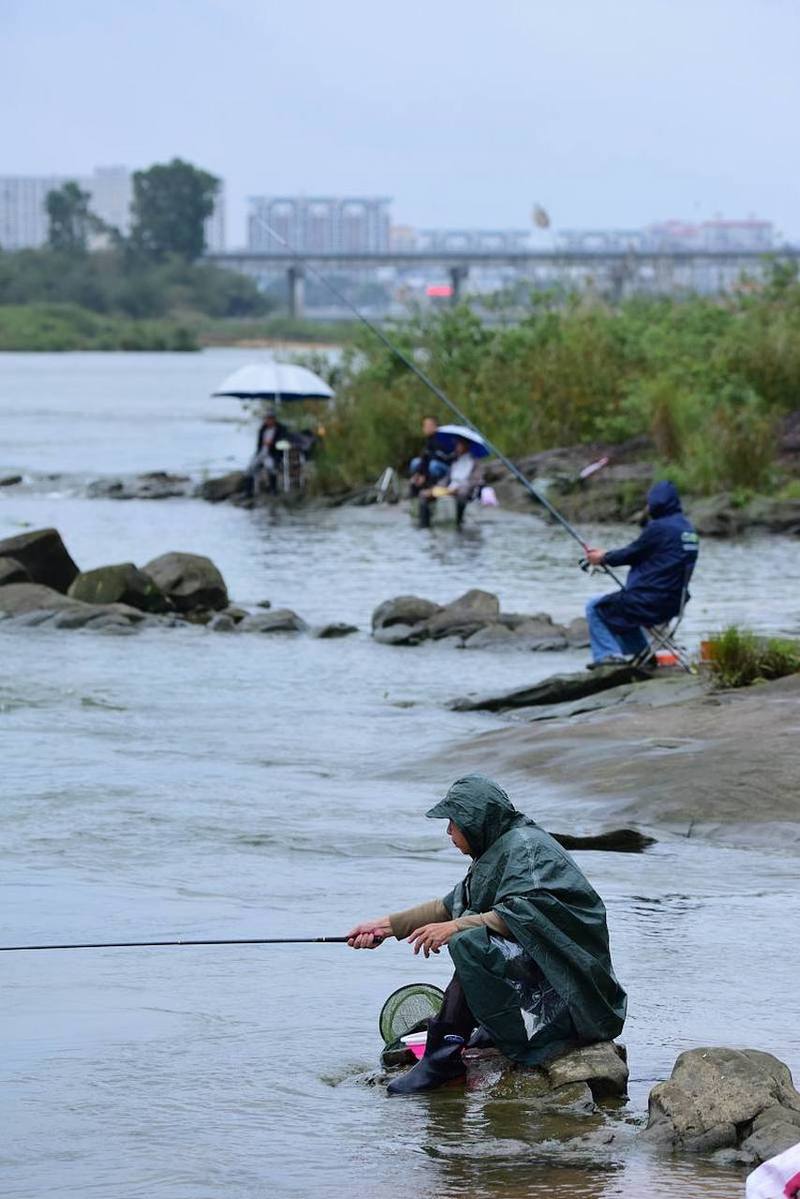 釣魚下雨渾水野釣怎么釣_野釣下雨渾水釣魚_下雨渾水能釣得到魚嗎