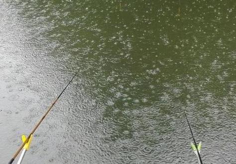 下雨渾水能釣得到魚嗎_野釣下雨渾水釣魚_釣魚下雨渾水野釣怎么釣