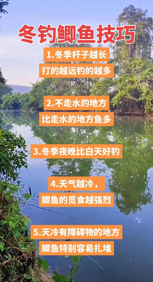 釣魚視頻2019-2020_中國釣魚視頻網_釣魚視頻最新