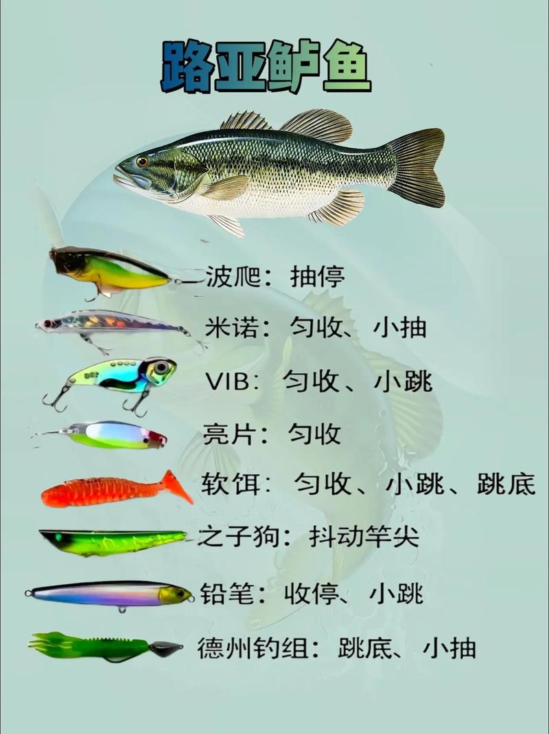 路亞釣魚趣味與挑戰并存：從路亞餌到魚竿的選擇