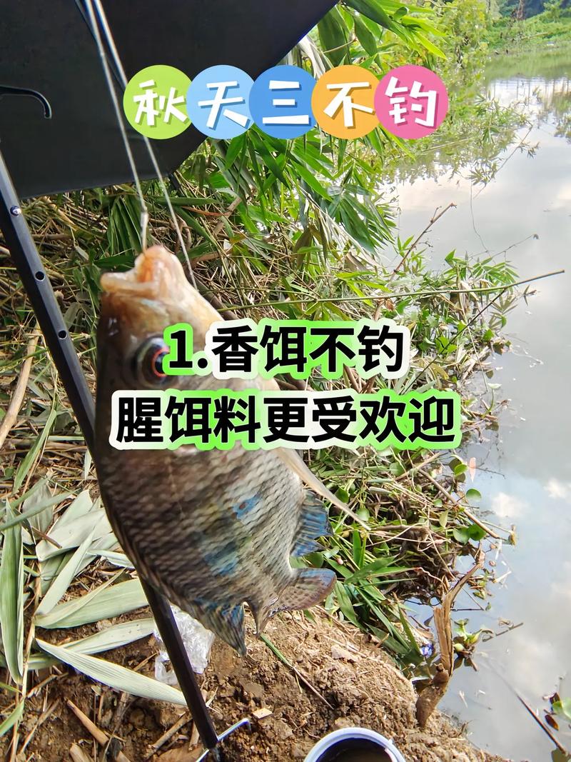 2021小浪底釣魚_新安縣小浪底釣魚_小浪底釣魚農家樂