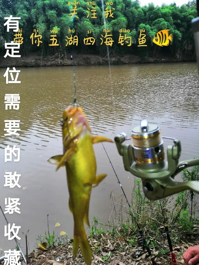 四海釣魚網手機版_四海釣魚網官網下載_四海釣魚app軟件下載