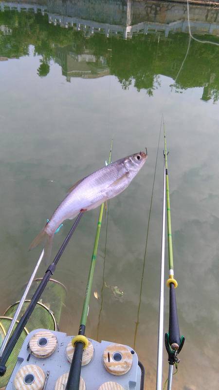四海釣魚app軟件下載_四海釣魚網手機版_四海釣魚網官網下載