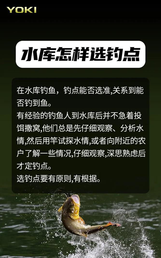釣魚水庫技巧海竿圖解_海竿水庫釣魚技巧_水庫海竿釣魚視頻實戰