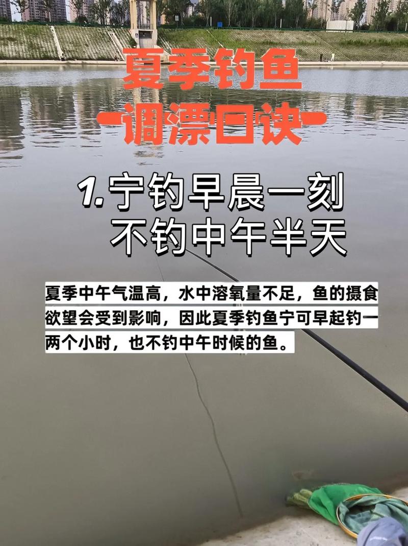 釣魚視頻2019-2020_釣魚視頻2020_中國釣魚網視頻