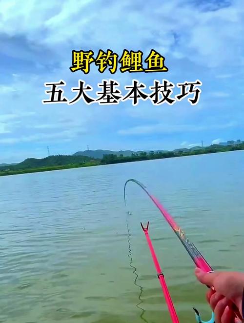 釣鯉魚視頻：掌握技巧與策略，提升垂釣樂趣的終極指南