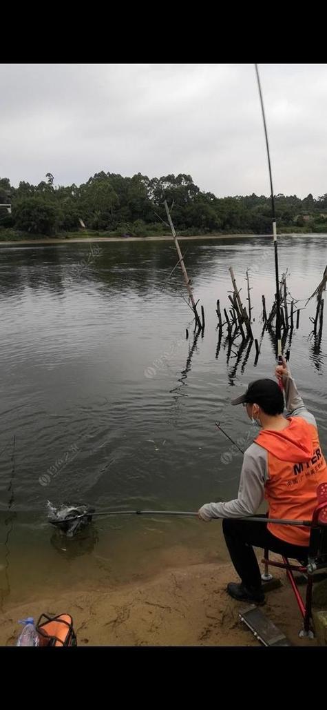 中國釣魚視頻網_釣魚視頻大全_釣魚視頻高清2014