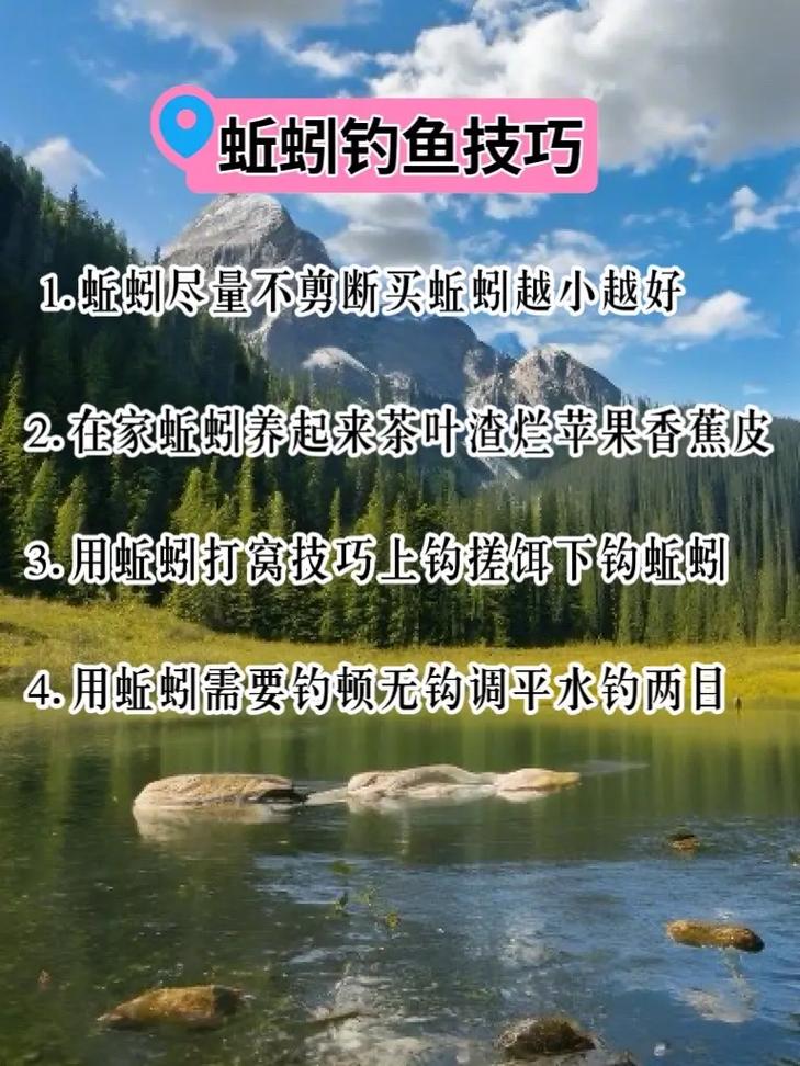 釣魚攻略教學野釣怎么釣_釣魚技巧大全野釣_釣魚教學野釣全攻略