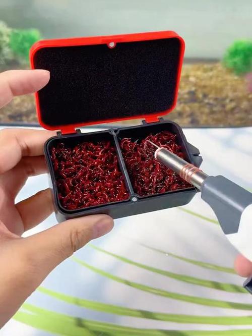 自制紅蟲掛鉤器_diy紅蟲掛鉤器_釣魚紅蟲掛鉤神器怎么用