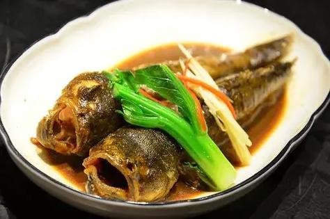 蟹虎魚的特點與特征：外形、顏色及視力詳解