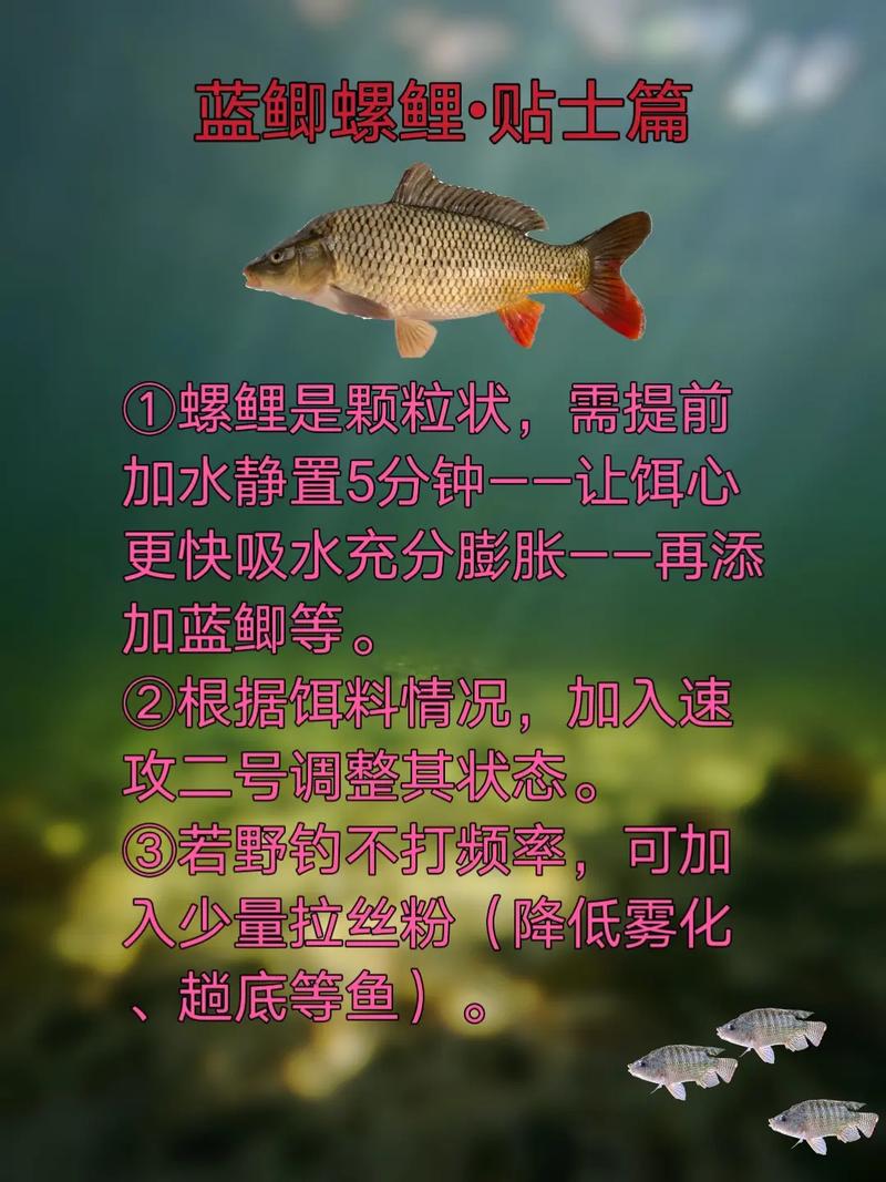 螺鯉918藍鯽的配料開比例