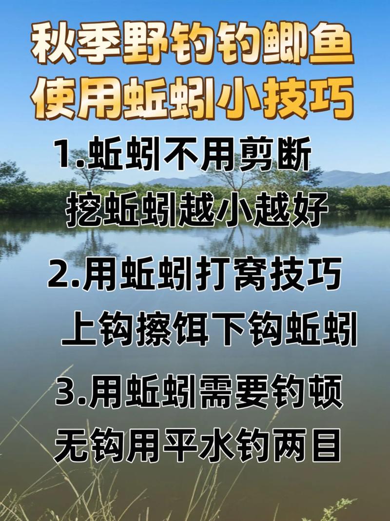 夏季用蚯蚓釣魚技巧_夏季釣魚不好釣試試蚯蚓_夏天釣蚯蚓