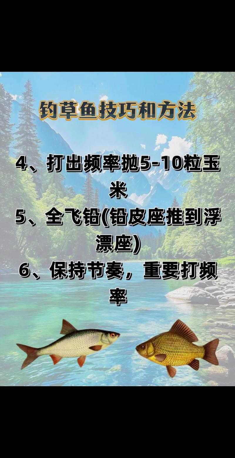 用餌料釣草魚釣底還是釣浮_野釣草魚用什么餌最好_餌草魚好野釣用什么餌料