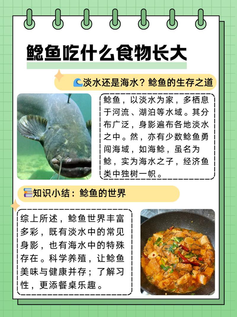 化糞池鯰魚是怎么回事_化糞池鯰魚走近科學視頻_鯰魚化糞池事件