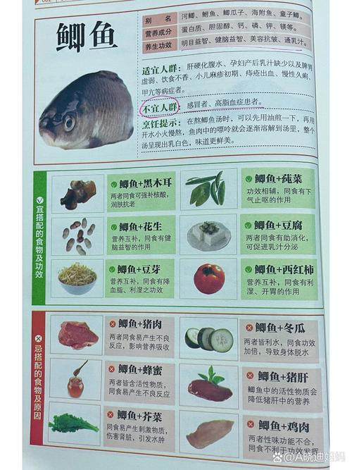 常見魚名字圖片及寓意_常見的魚名字及圖片_常見的幾種魚的名稱和圖片