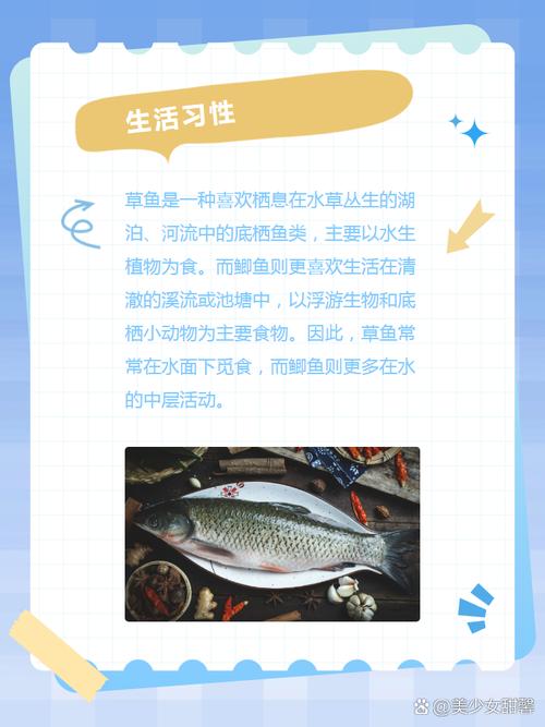常見魚名字圖片及寓意_常見的魚名字及圖片_常見的幾種魚的名稱和圖片
