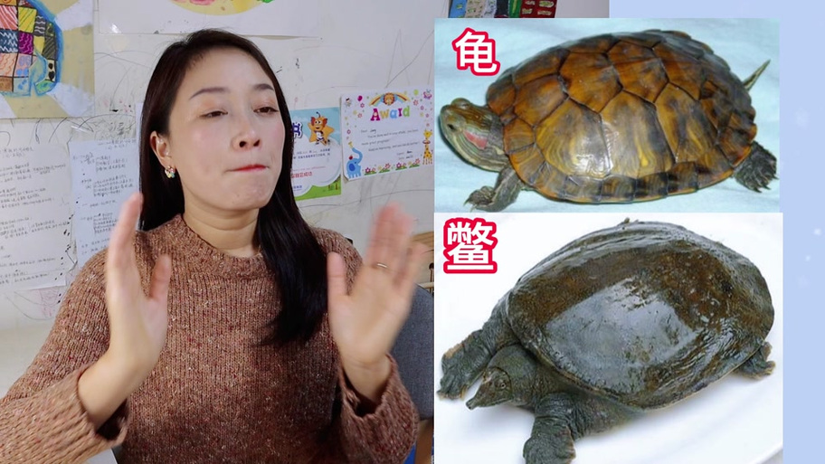 龜鱉黿鼉怎么讀_龜鱉黿鼉怎么讀音_龜鱉黿鼉的拼音