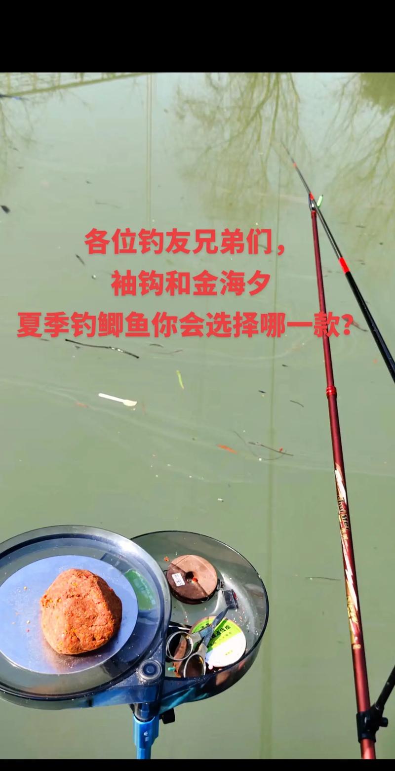 金袖釣鯽魚一般多大號_野釣鯽魚用幾號鉤 金袖_鯽魚金袖幾號