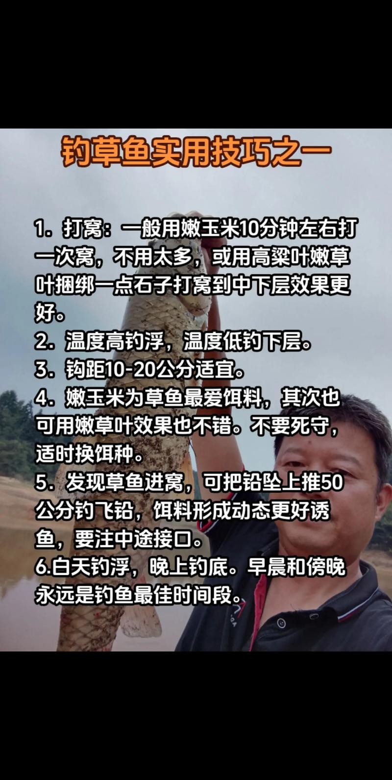 掌握釣草魚技巧：教學視頻帶來的視覺與心靈的雙重享受